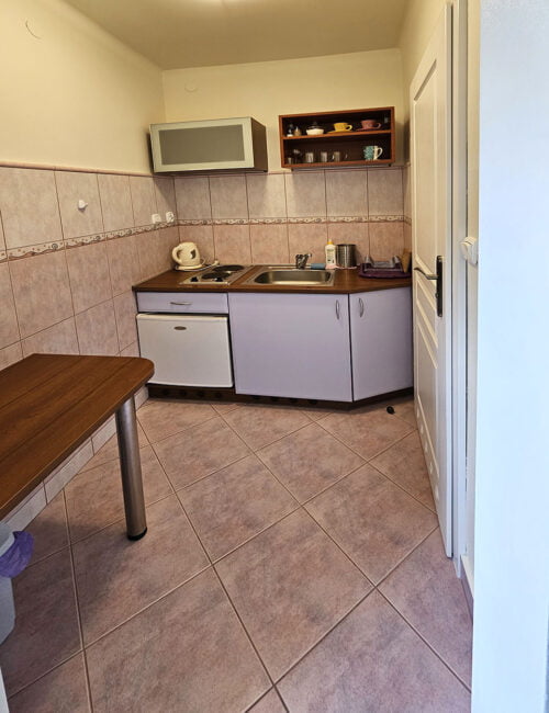 Aneks kuchenny w fioletowych barwach z płytą grzewczą, czajnikiem, lodówką i zlewem